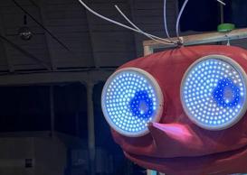 Shrimpy LED pirate shrimp close-up eyes